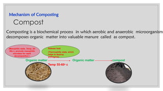 Mechanism of Composting
Composting is a biochemical process in which aerobic and anaerobic microorganism
decomposes organic matter into valuable manure called as compost.
Organic matter
Release heat
(Thermophilic state, which
helps to destroy
pathogens)
Organic matter compost
(Mesophilic state ,Temp. 25-
30o c, promote mesophilic
microbes for rapid
decomposition )
Compost
Temp 55-60o c
 