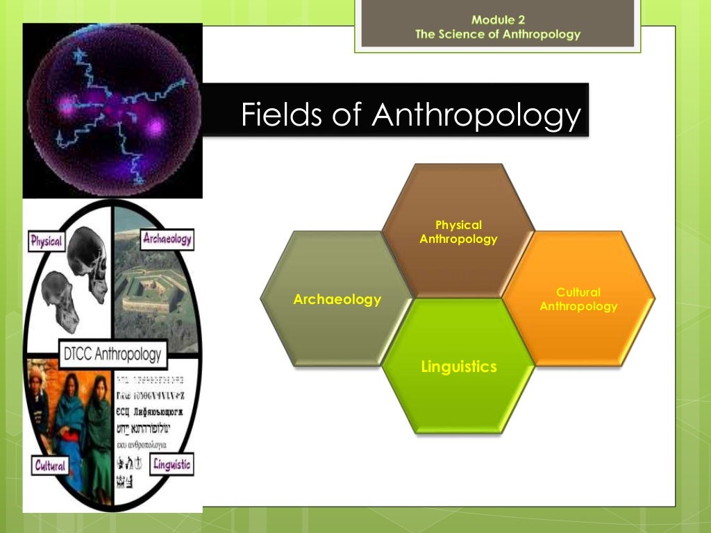 Science of Anthropology