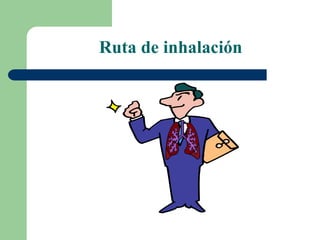 Ruta de inhalación
 