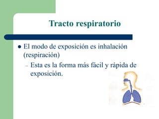 Tracto respiratorio
 El modo de exposición es inhalación
(respiración)
– Esta es la forma más fácil y rápida de
exposición.
 