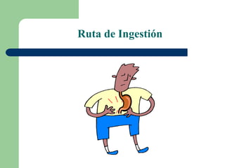 Ruta de Ingestión
 