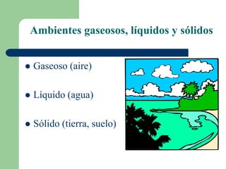Ambientes gaseosos, líquidos y sólidos
 Gaseoso (aire)
 Líquido (agua)
 Sólido (tierra, suelo)
 