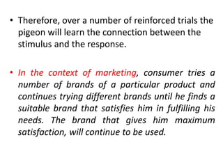 Consumer Trialsd Individual Determinants of Consumer Behaviour | PDF