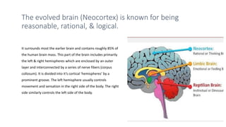 The evolved brain (Neocortex) is known for being
reasonable, rational, & logical.
It surrounds most the earlier brain and contains roughly 85% of
the human brain mass. This part of the brain includes primarily
the left & right hemispheres which are enclosed by an outer
layer and interconnected by a series of nerve fibers (corpus
collosum). It is divided into it’s cortical ‘hemispheres’ by a
prominent groove. The left hemisphere usually controls
movement and sensation in the right side of the body. The right
side similarly controls the left side of the body.
 