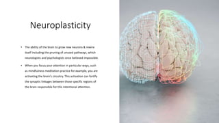 Neuroplasticity
• The ability of the brain to grow new neurons & rewire
itself including the pruning of unused pathways, which
neurologists and psychologists once believed impossible.
• When you focus your attention in particular ways, such
as mindfulness meditation practice for example, you are
activating the brain’s circuitry. This activation can fortify
the synaptic linkages between those specific regions of
the brain responsible for this intentional attention.
 