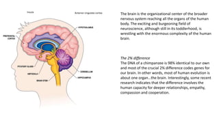 Anterior cingulate cortex
Insula
The brain is the organizational center of the broader
nervous system reaching all the organs of the human
body. The exciting and burgeoning field of
neuroscience, although still in its toddlerhood, is
wrestling with the enormous complexity of the human
brain.
The 2% difference
The DNA of a chimpanzee is 98% identical to our own
and most of the crucial 2% difference codes genes for
our brain. In other words, most of human evolution is
about one organ…the brain. Interestingly, some recent
research indicates that the difference involves the
human capacity for deeper relationships, empathy,
compassion and cooperation.
 