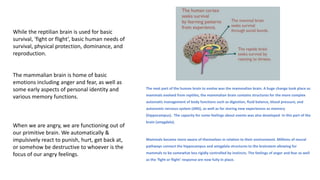 The next part of the human brain to evolve was the mammalian brain. A huge change took place as
mammals evolved from reptiles, the mammalian brain contains structures for the more complex
automatic management of body functions such as digestion, fluid balance, blood pressure, and
autonomic nervous system (ANS), as well as for storing new experiences as memory
(hippocampus). The capacity for some feelings about events was also developed in this part of the
brain (amygdala).
Mammals became more aware of themselves in relation to their environment. Millions of neural
pathways connect the hippocampus and amygdala structures to the brainstem allowing for
mammals to be somewhat less rigidly controlled by instincts. The feelings of anger and fear as well
as the ‘fight or flight’ response are now fully in place.
While the reptilian brain is used for basic
survival, ‘fight or flight’, basic human needs of
survival, physical protection, dominance, and
reproduction.
The mammalian brain is home of basic
emotions including anger and fear, as well as
some early aspects of personal identity and
various memory functions.
When we are angry, we are functioning out of
our primitive brain. We automatically &
impulsively react to punish, hurt, get back at,
or somehow be destructive to whoever is the
focus of our angry feelings.
 