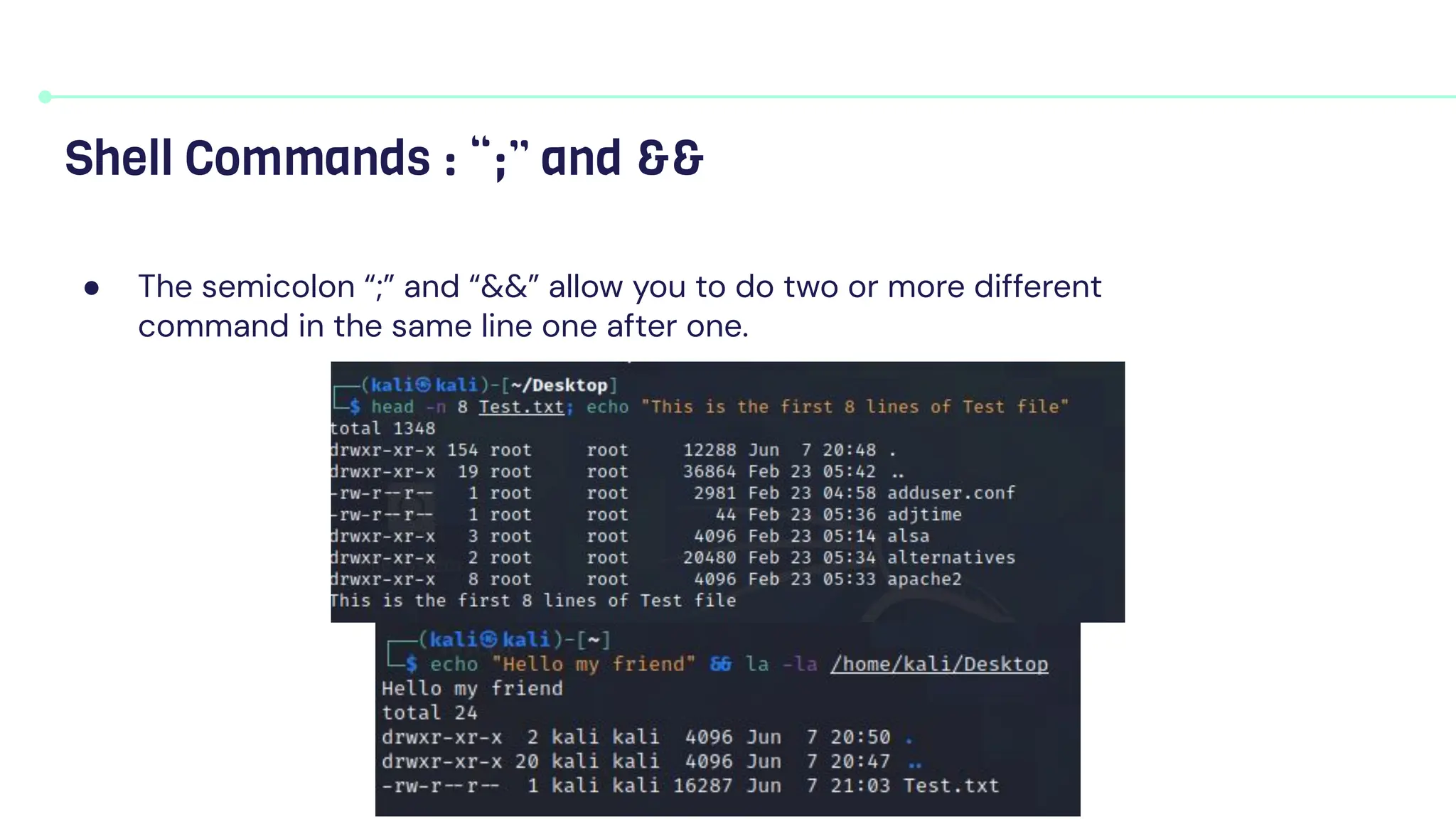 ● The semicolon “;” and “&&” allow you to do two or more different
command in the same line one after one.
Shell Commands : “;” and &&
 