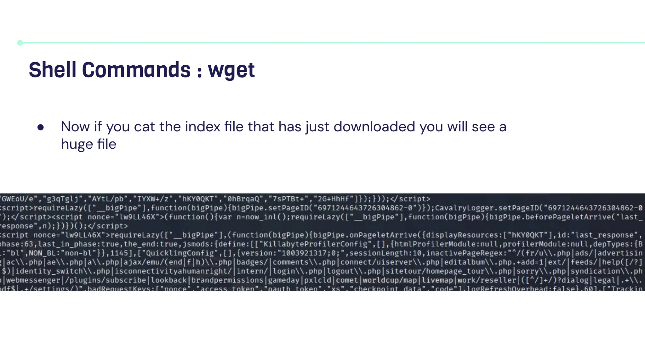 ● Now if you cat the index ﬁle that has just downloaded you will see a
huge ﬁle
Shell Commands : wget
 