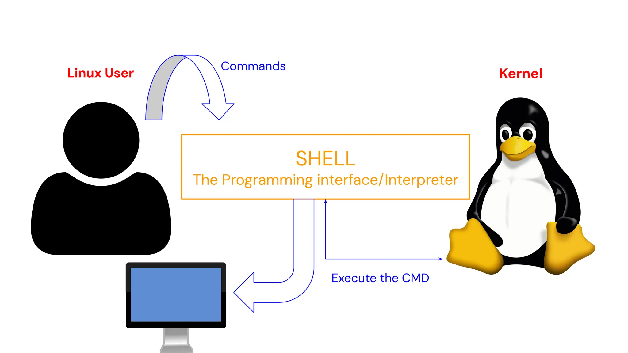 Linux User Kernel
SHELL
The Programming interface/Interpreter
Commands
Execute the CMD
 