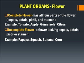 Module 2. Lesson 2.1 Nature and Composition of Plants.pdf