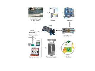 Engineering Systems for Solid Waste Management | PPTX