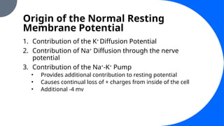 Origin of the Normal Resting
Membrane Potential
1. Contribution of the K+
Diffusion Potential
2. Contribution of Na+
Diffusion through the nerve
potential
3. Contribution of the Na+
-K+
Pump
• Provides additional contribution to resting potential
• Causes continual loss of + charges from inside of the cell
• Additional -4 mv
 