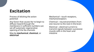 Excitation
Process of eliciting the action
potential
Any factor that causes Na+
to begin to
diffuse inward through the
membrane in sufficient numbers can
set off automatic regenerative
opening of the Na channels
May be mechanical, chemical, or
electrical
Mechanical – touch receptors,
mechanoreceptors
Chemical – neurotransmitters from
one neuron to the next in the brain
Electrical – electrical current to
transmit signals between successive
muscle cells in the heart and
intestine
 