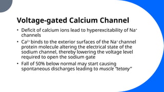 Voltage-gated Calcium Channel
• Deficit of calcium ions lead to hyperexcitability of Na+
channels
• Ca2+
binds to the exterior surfaces of the Na+
channel
protein molecule altering the electrical state of the
sodium channel, thereby lowering the voltage level
required to open the sodium gate
• Fall of 50% below normal may start causing
spontaneous discharges leading to muscle “tetany”
 