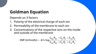 Goldman Equation
Depends on 3 factors
1. Polarity of the electrical charge of each ion
2. Permeability of the membrane to each ion
3. Concentrations of the respective ions on the inside
and outside of the membrane
 