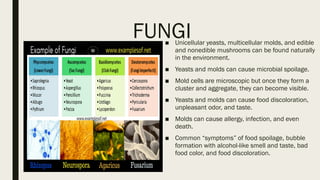 FUNGI
■ Unicellular yeasts, multicellular molds, and edible
and nonedible mushrooms can be found naturally
in the environment.
■ Yeasts and molds can cause microbial spoilage.
■ Mold cells are microscopic but once they form a
cluster and aggregate, they can become visible.
■ Yeasts and molds can cause food discoloration,
unpleasant odor, and taste.
■ Molds can cause allergy, infection, and even
death.
■ Common “symptoms” of food spoilage, bubble
formation with alcohol-like smell and taste, bad
food color, and food discoloration.
 