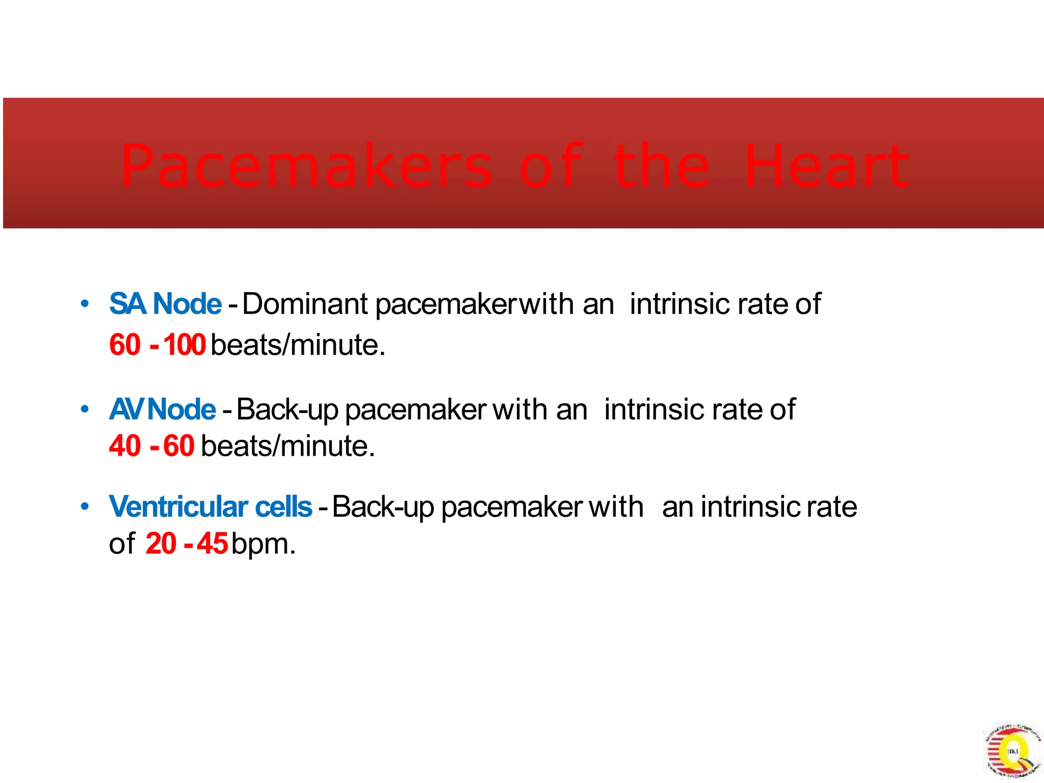 Module 2 interpreting ecg rythm strips-1-converted | PPTX
