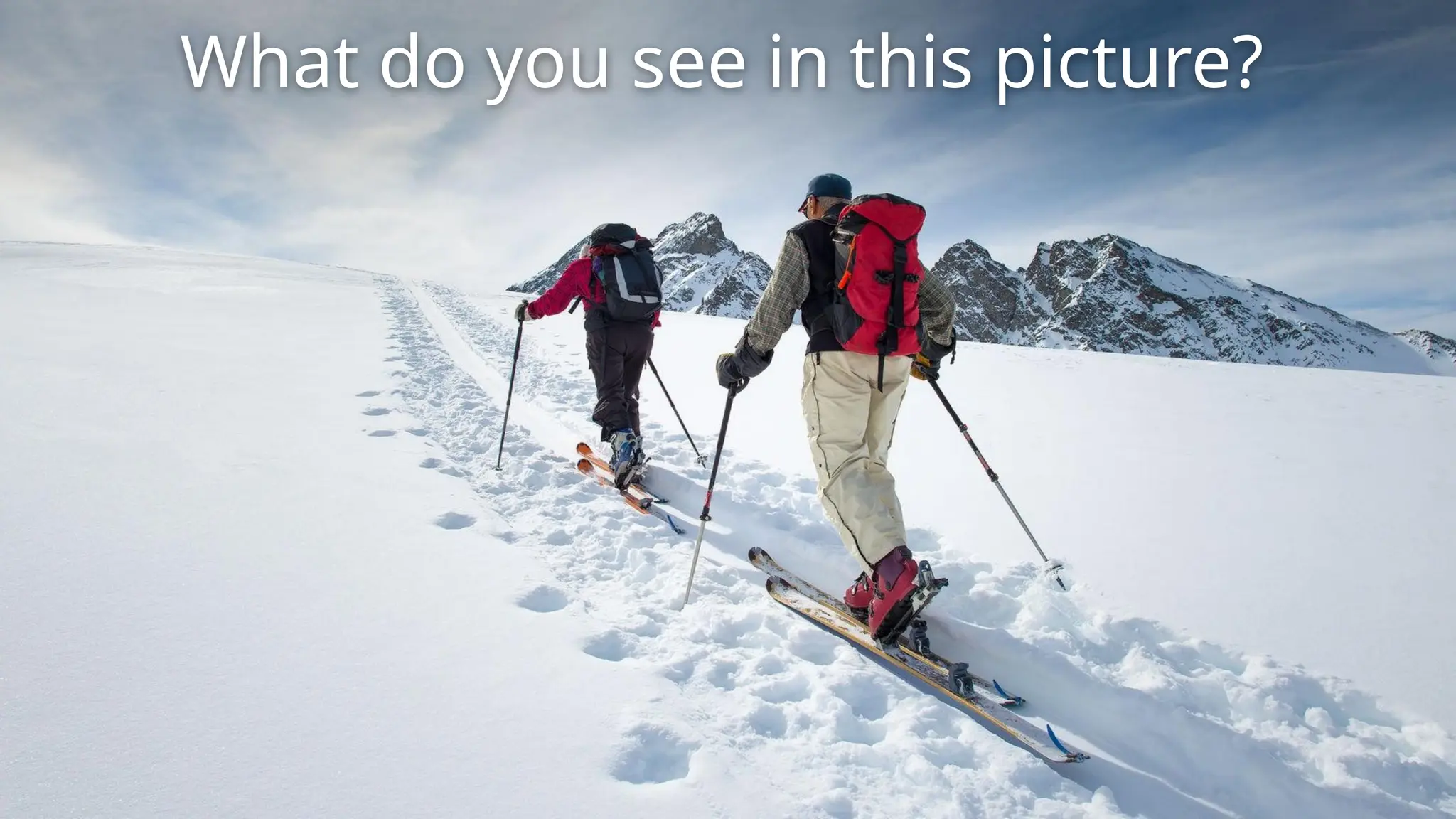 What do you see in this picture?
 