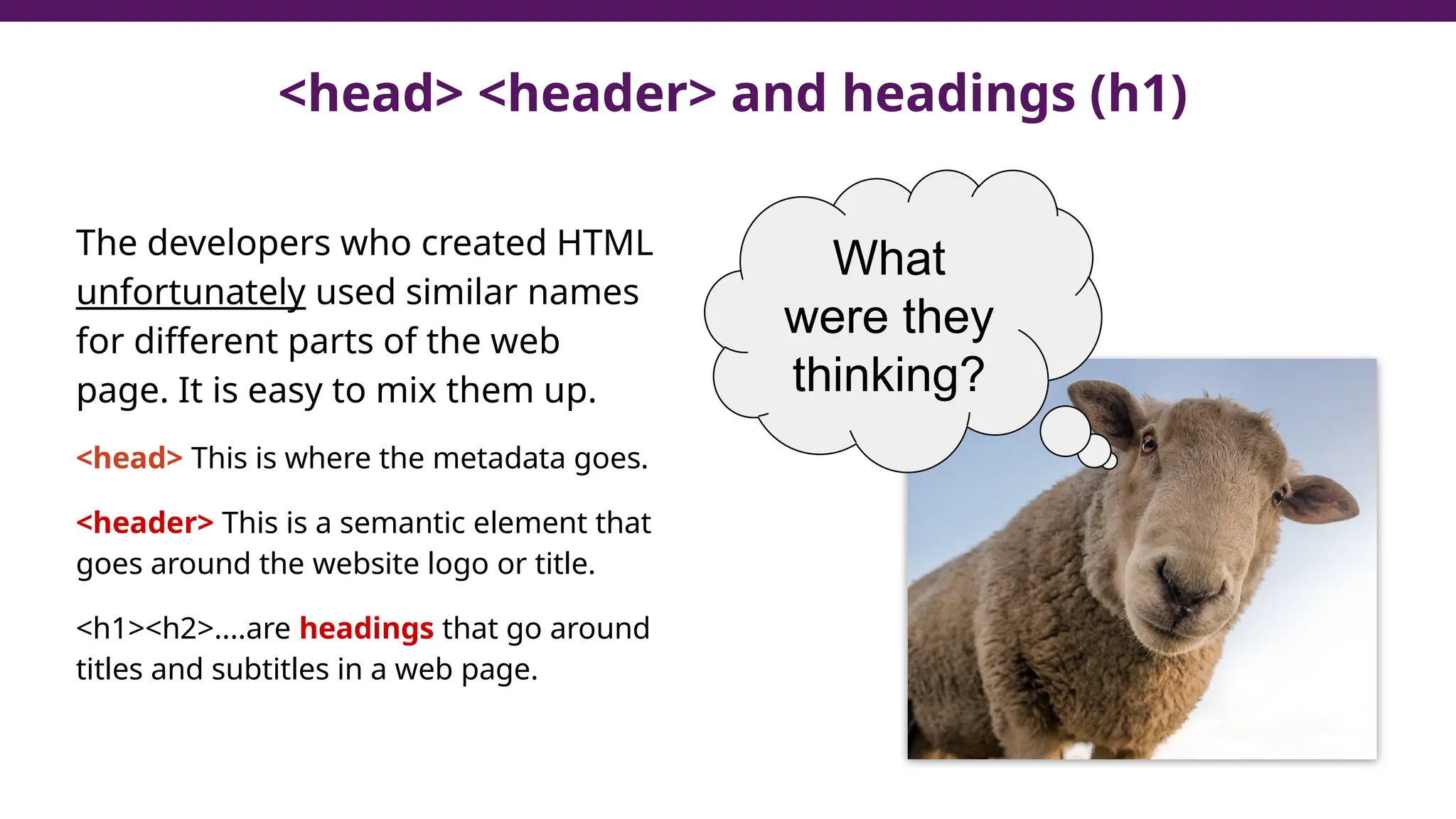 <head> <header> and headings (h1)
The developers who created HTML
unfortunately used similar names
for different parts of the web
page. It is easy to mix them up.
<head> This is where the metadata goes.
<header> This is a semantic element that
goes around the website logo or title.
<h1><h2>....are headings that go around
titles and subtitles in a web page.
What
were they
thinking?
 