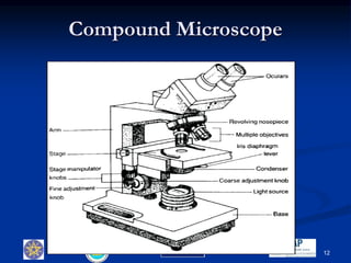 Compound Microscope
12
 