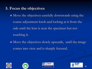 5. Focus the objectives
 Move the objectives carefully downwards using the
coarse adjustment knob and locking at it from the
side until the lens is near the specimen but not
touching it.
 Move the objectives slowly upwards, until the image
comes into view and is sharply focused.
28
 