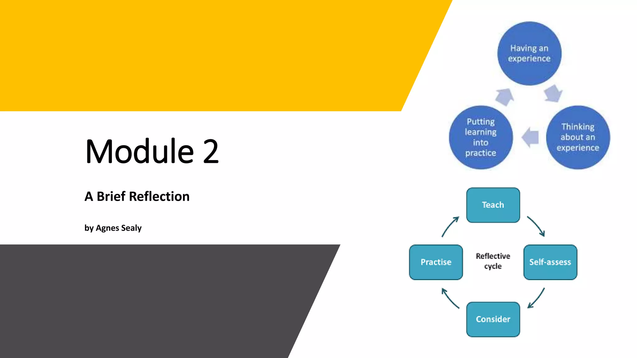 Module 2
A Brief Reflection
by Agnes Sealy
 