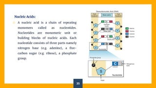 Module 2 - The Fundamentals of Building Blocks of Life.pdf