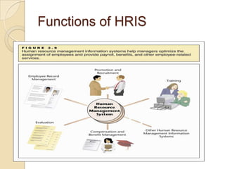 Functions of HRIS
 