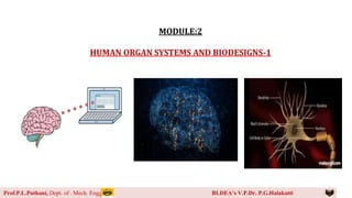 1
MODULE:2
HUMAN ORGAN SYSTEMS AND BIODESIGNS-1
Prof.P.L.Puthani, Dept. of . Mech. Engg BLDEA’s V.P.Dr. P.G.Halakatti
 