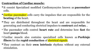 Module 2a Pacemake Uddin dink hor tissues.pptx