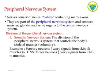 Module 2 Biology for Engineers 2025[1].pptx