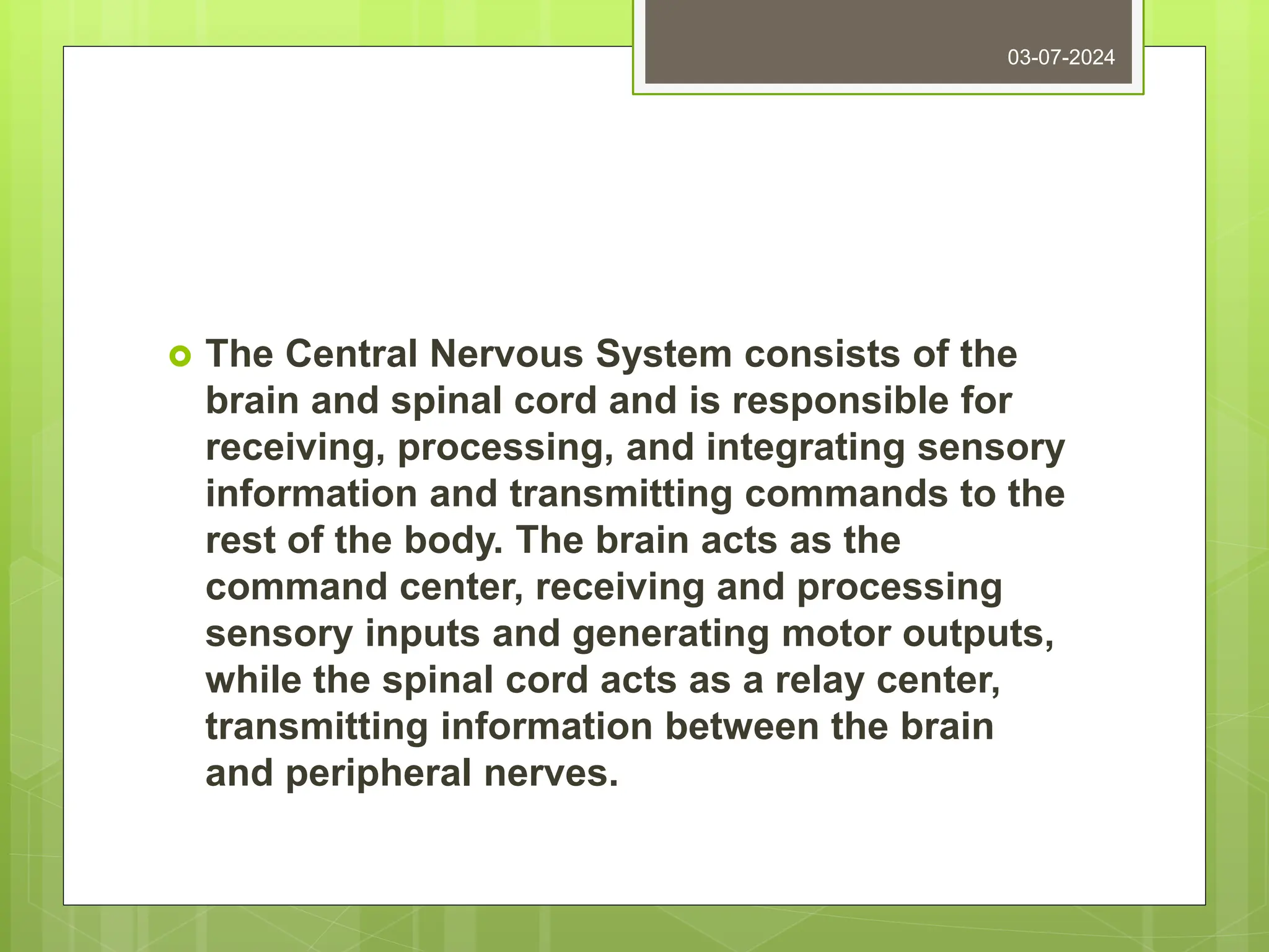  The Central Nervous System consists of the
brain and spinal cord and is responsible for
receiving, processing, and integrating sensory
information and transmitting commands to the
rest of the body. The brain acts as the
command center, receiving and processing
sensory inputs and generating motor outputs,
while the spinal cord acts as a relay center,
transmitting information between the brain
and peripheral nerves.
03-07-2024
 