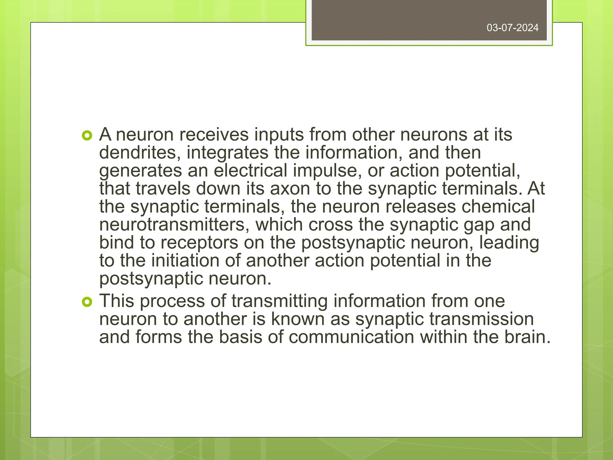  A neuron receives inputs from other neurons at its
dendrites, integrates the information, and then
generates an electrical impulse, or action potential,
that travels down its axon to the synaptic terminals. At
the synaptic terminals, the neuron releases chemical
neurotransmitters, which cross the synaptic gap and
bind to receptors on the postsynaptic neuron, leading
to the initiation of another action potential in the
postsynaptic neuron.
 This process of transmitting information from one
neuron to another is known as synaptic transmission
and forms the basis of communication within the brain.
03-07-2024
 