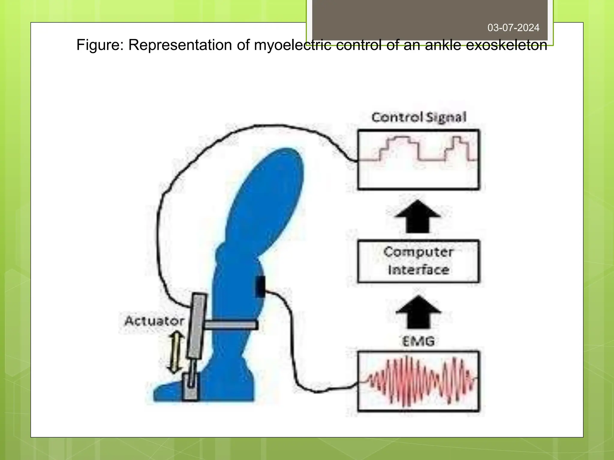 03-07-2024
Figure: Representation of myoelectric control of an ankle exoskeleton
 