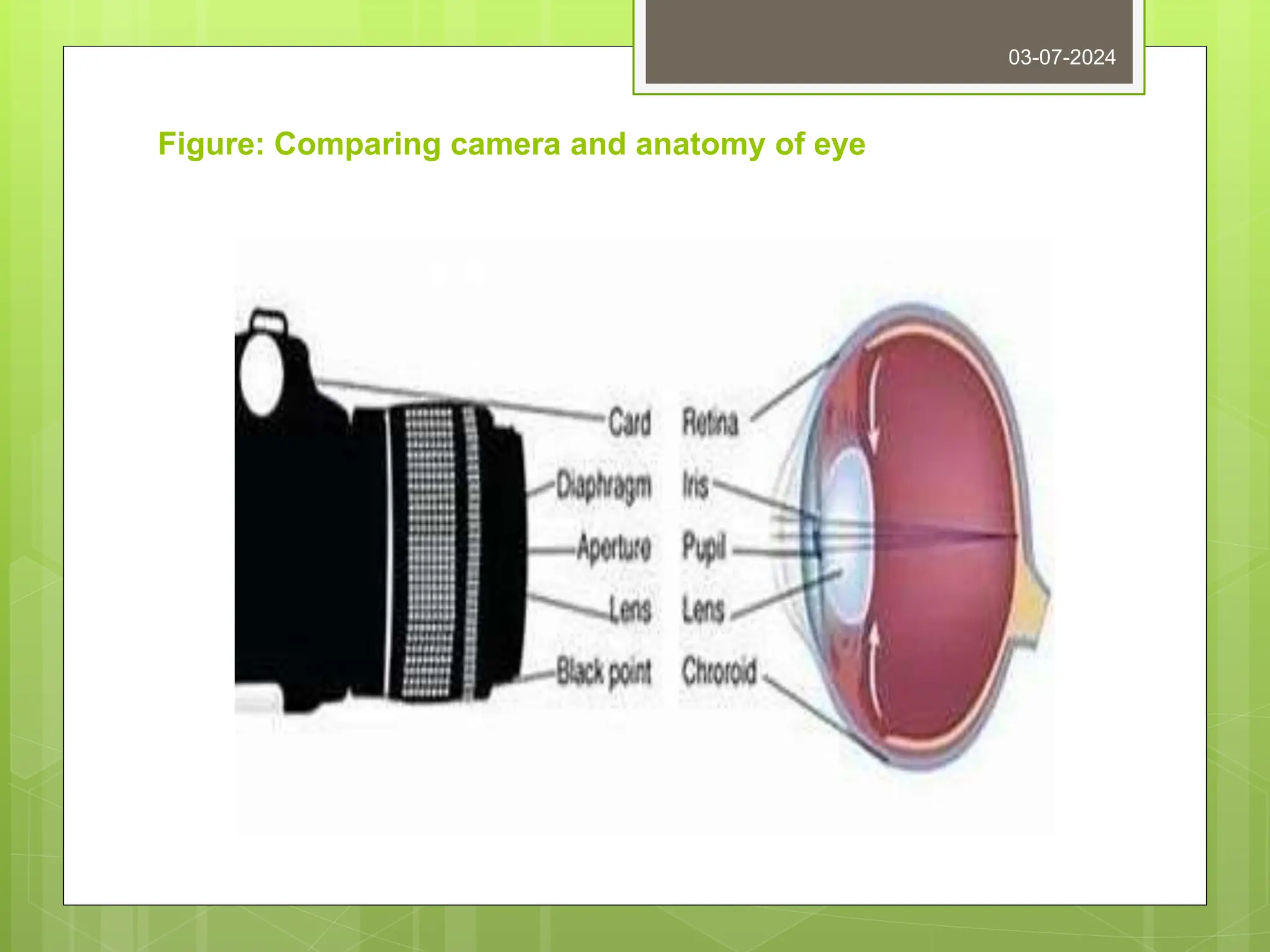 Figure: Comparing camera and anatomy of eye
03-07-2024
 