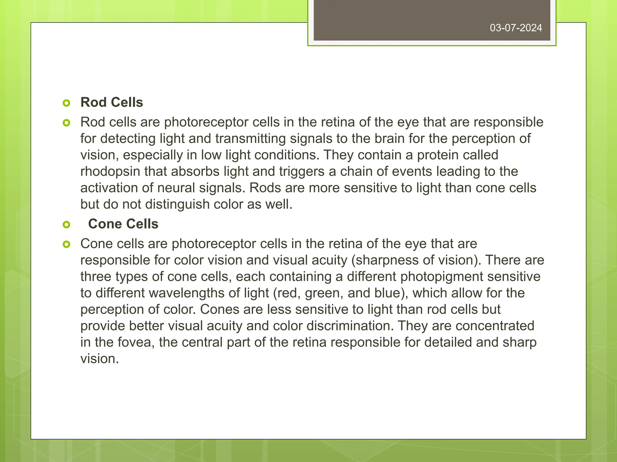  Rod Cells
 Rod cells are photoreceptor cells in the retina of the eye that are responsible
for detecting light and transmitting signals to the brain for the perception of
vision, especially in low light conditions. They contain a protein called
rhodopsin that absorbs light and triggers a chain of events leading to the
activation of neural signals. Rods are more sensitive to light than cone cells
but do not distinguish color as well.
 Cone Cells
 Cone cells are photoreceptor cells in the retina of the eye that are
responsible for color vision and visual acuity (sharpness of vision). There are
three types of cone cells, each containing a different photopigment sensitive
to different wavelengths of light (red, green, and blue), which allow for the
perception of color. Cones are less sensitive to light than rod cells but
provide better visual acuity and color discrimination. They are concentrated
in the fovea, the central part of the retina responsible for detailed and sharp
vision.
03-07-2024
 
