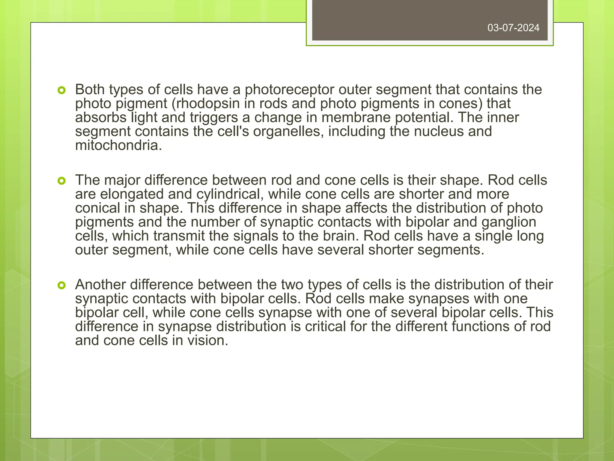  Both types of cells have a photoreceptor outer segment that contains the
photo pigment (rhodopsin in rods and photo pigments in cones) that
absorbs light and triggers a change in membrane potential. The inner
segment contains the cell's organelles, including the nucleus and
mitochondria.
 The major difference between rod and cone cells is their shape. Rod cells
are elongated and cylindrical, while cone cells are shorter and more
conical in shape. This difference in shape affects the distribution of photo
pigments and the number of synaptic contacts with bipolar and ganglion
cells, which transmit the signals to the brain. Rod cells have a single long
outer segment, while cone cells have several shorter segments.
 Another difference between the two types of cells is the distribution of their
synaptic contacts with bipolar cells. Rod cells make synapses with one
bipolar cell, while cone cells synapse with one of several bipolar cells. This
difference in synapse distribution is critical for the different functions of rod
and cone cells in vision.
03-07-2024
 