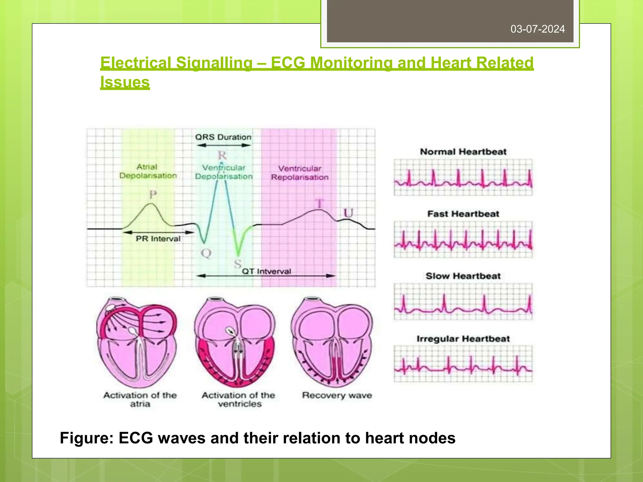 Electrical Signalling – ECG Monitoring and Heart Related
Issues
03-07-2024
Figure: ECG waves and their relation to heart nodes
 