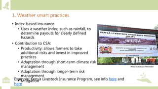 Module 2: Climate actions in agriculture and priority setting for investments