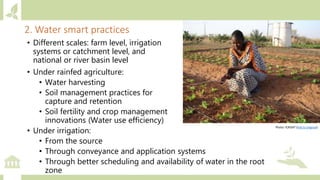 Module 2: Climate actions in agriculture and priority setting for investments