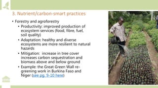• Forestry and agroforestry
• Productivity: improved production of
ecosystem services (food, fibre, fuel,
soil quality)
• ...