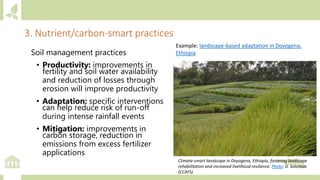 Module 2: Climate actions in agriculture and priority setting for investments