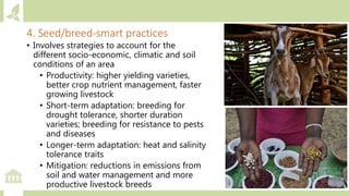 Module 2: Climate actions in agriculture and priority setting for investments