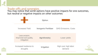 Trade-offs and synergies
You may notice that some options have positive impacts for one outcomes,
but neutral or negative ...