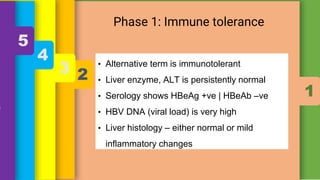 Phases of HBV infection by immune
response
• These phases provide a summary of the
natural course of HBV infection
• The p...