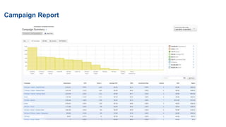 Campaign Report
 