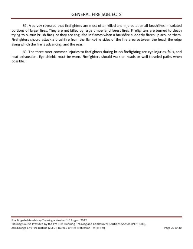 public transport opinion essay and travel