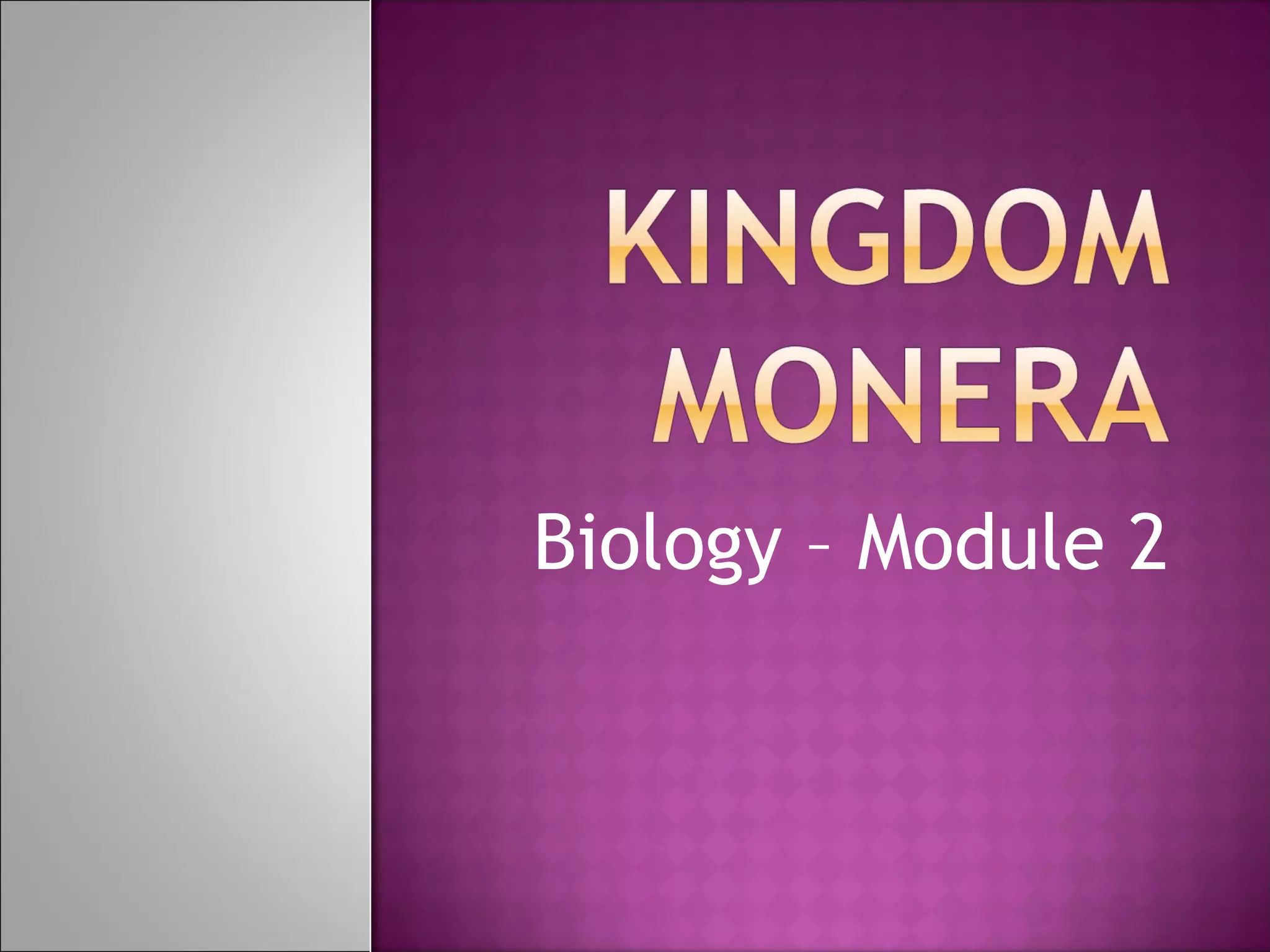 Module 2 kingdom monera | PPT