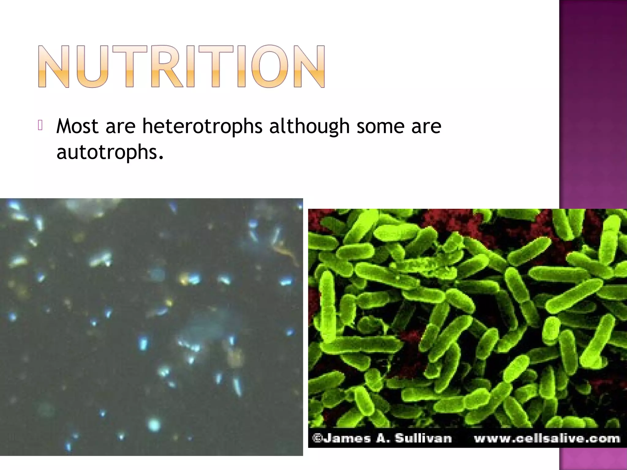 Module 2 kingdom monera | PPT